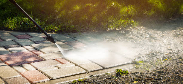 Best Animal Enclosure Cleaning  in Burke Centre, VA